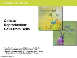 Chapter 8 Lecture Cellular Reproduction Cells from Cells