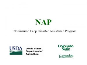 NAP Noninsured Crop Disaster Assistance Program Introduction Agriculture