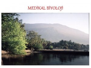 MEDKAL BYOLOJ Biyoloji Geni anlamda tm canllarn yaayn