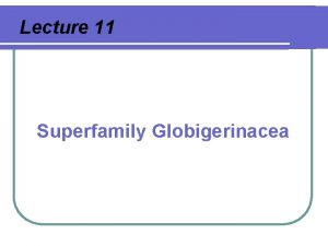 Lecture 11 Superfamily Globigerinacea Superfamily Globigerinacea The planktonic