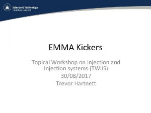 EMMA Kickers Topical Workshop on Injection and Injection