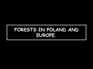 FORESTS IN POLAND EUROPE RUSSIAN TAIGA Taiga is