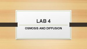 LAB 4 OSMOSIS AND DIFFUSION OBJECTIVES SELECTIVE PERMEABILITY