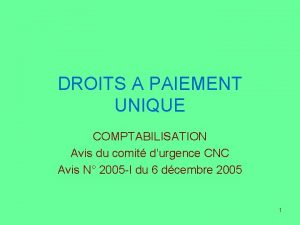 DROITS A PAIEMENT UNIQUE COMPTABILISATION Avis du comit