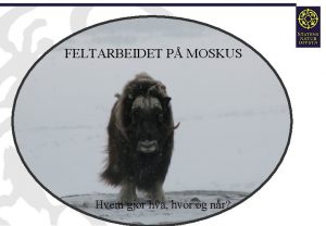 FELTARBEIDET P MOSKUS Hvem gjr hva hvor og