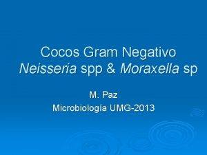 Cocos Gram Negativo Neisseria spp Moraxella sp M