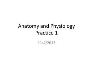 Anatomy and Physiology Practice 1 1142013 Mr Vanderpool