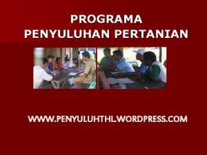 PROGRAMA PENYULUHAN PERTANIAN WWW PENYULUHTHL WORDPRESS COM UndangUndang