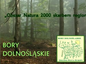 Obszar Natura 2000 skarbem regionu Obszar Natura 2000