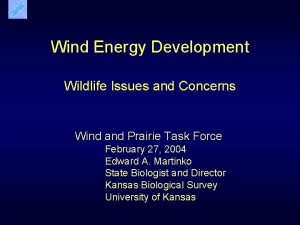 Wind Energy Development Wildlife Issues and Concerns Wind