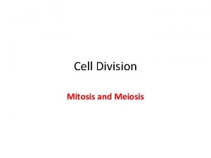 Cell Division Mitosis and Meiosis Cell Growth and