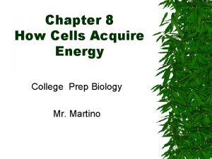 Chapter 8 How Cells Acquire Energy College Prep