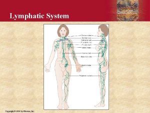 Lymphatic System Copyright 2006 by Elsevier Inc Determinants