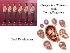 Changes in a Womans Body During Pregnancy Fetal