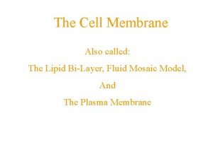 The Cell Membrane A barrier that separates a