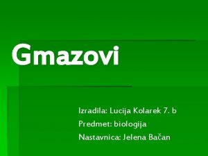 Gmazovi Izradila Lucija Kolarek 7 b Predmet biologija