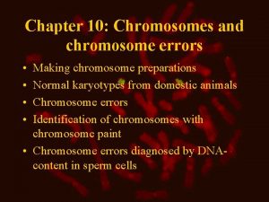 Chapter 10 Chromosomes and chromosome errors Making chromosome