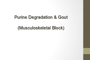 Purine Degradation Gout Musculoskeletal Block Objectives By the