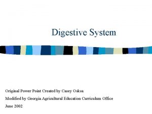 Digestive System Original Power Point Created by Casey
