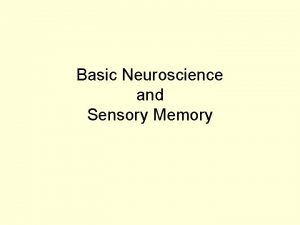 Basic Neuroscience and Sensory Memory Basic Neuroanatomy Subcortical