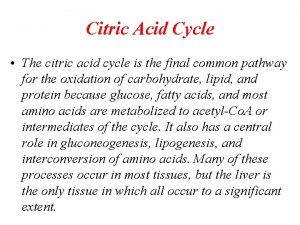 Krebs cycle and gluconeogenesis