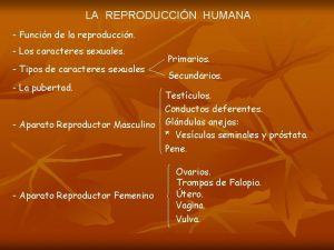 LA REPRODUCCIN HUMANA Funcin de la reproduccin Los