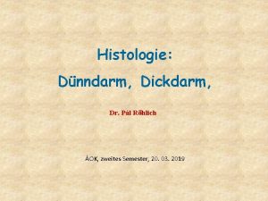 Histologie Dnndarm Dickdarm Dr Pl Rhlich OK zweites