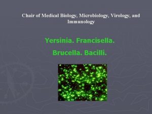 Chair of Medical Biology Microbiology Virology and Immunology