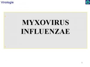 Virologie MYXOVIRUS INFLUENZAE 1 Virologie MYXOVIRUS INFLUENZAE Sfrick