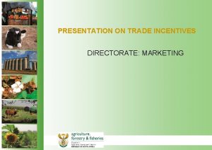 PRESENTATION ON TRADE INCENTIVES DIRECTORATE MARKETING INCENTIVES BY