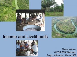 Income and Livelihoods Miriam Wyman CIFOR PEN Workshop