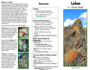 What are Lichen A lichen is a composite