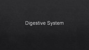 Digestive System General Anatomy of the Digestive System