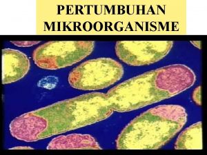 PERTUMBUHAN MIKROORGANISME Pertumbuhan Pertumbuhan pada organisme yang makro
