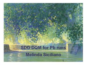 SDD DQM for Pb runs Melinda Siciliano 1