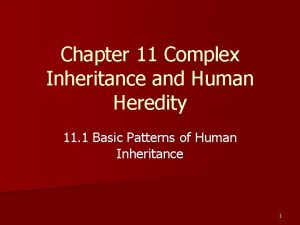 Chapter 11 Complex Inheritance and Human Heredity 11