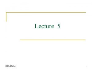 Lecture 5 222 Cell Biology 1 The plasma