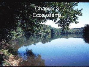 Chapter 3 Ecosystems Case Study Have You Thanked