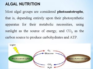 ALGAL NUTRITION Most algal groups are considered photoautotrophs