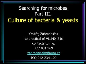 Searching for microbes Part III Culture of bacteria