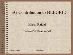 EG Contribution to NEEGRID Martti Raidal On behalf