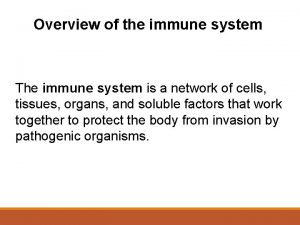Overview of the immune system The immune system