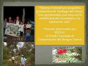 Manejo Forestal por pequeos productores de Santiago del