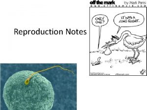 Reproduction Notes Asexual Reproduction offspring produced by one
