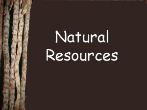 Natural Resources What are Natural Resources Supplies from