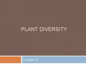 PLANT DIVERSITY Chapter 22 What Is a Plants