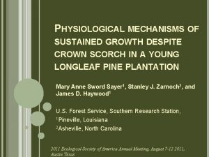 PHYSIOLOGICAL MECHANISMS OF SUSTAINED GROWTH DESPITE CROWN SCORCH