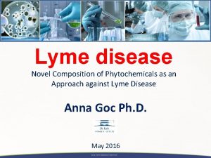 Lyme disease Novel Composition of Phytochemicals as an