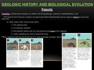 GEOLOGIC HISTORY AND BIOLOGICAL EVOLUTION Fossils preserved remains