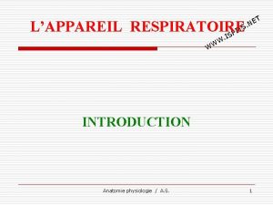 T E N LAPPAREIL RESPIRATOIRE TS I SP